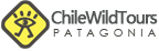 ChileWildTours